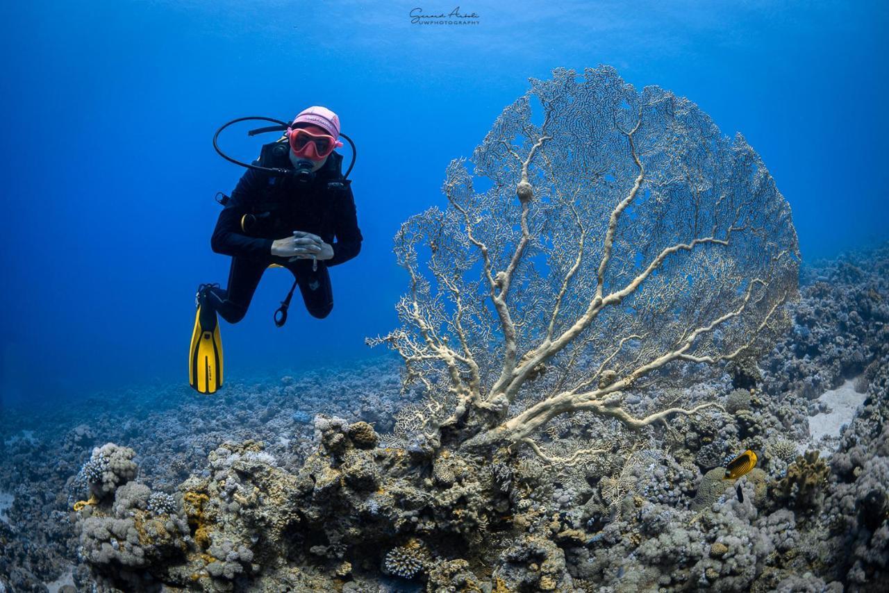 Bait Alaqaba Dive Center & Resort Exterior photo