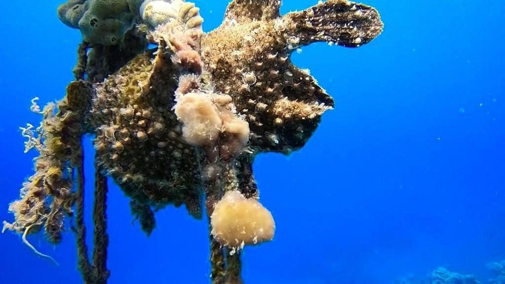 Bait Alaqaba Dive Center & Resort Exterior photo